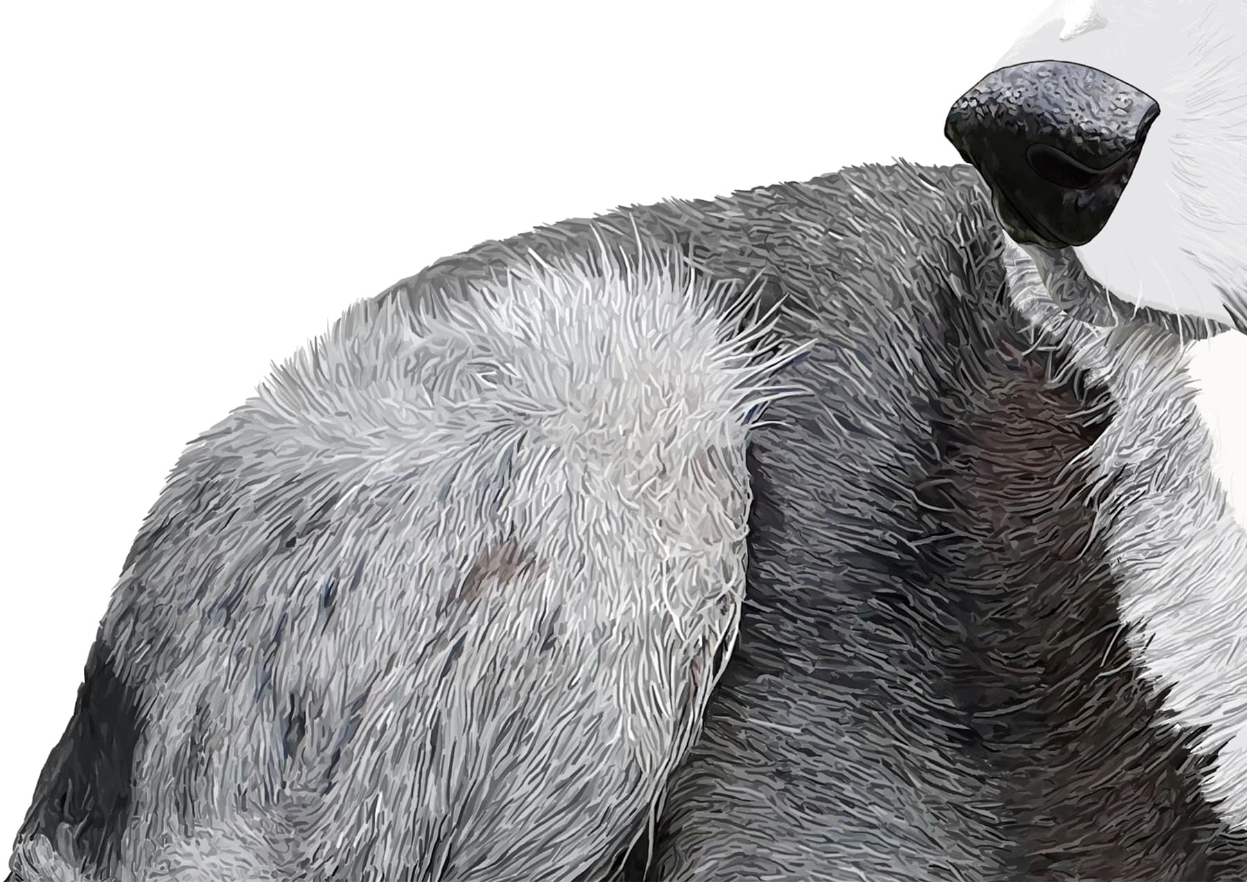 Freckles Blue abby Wright3