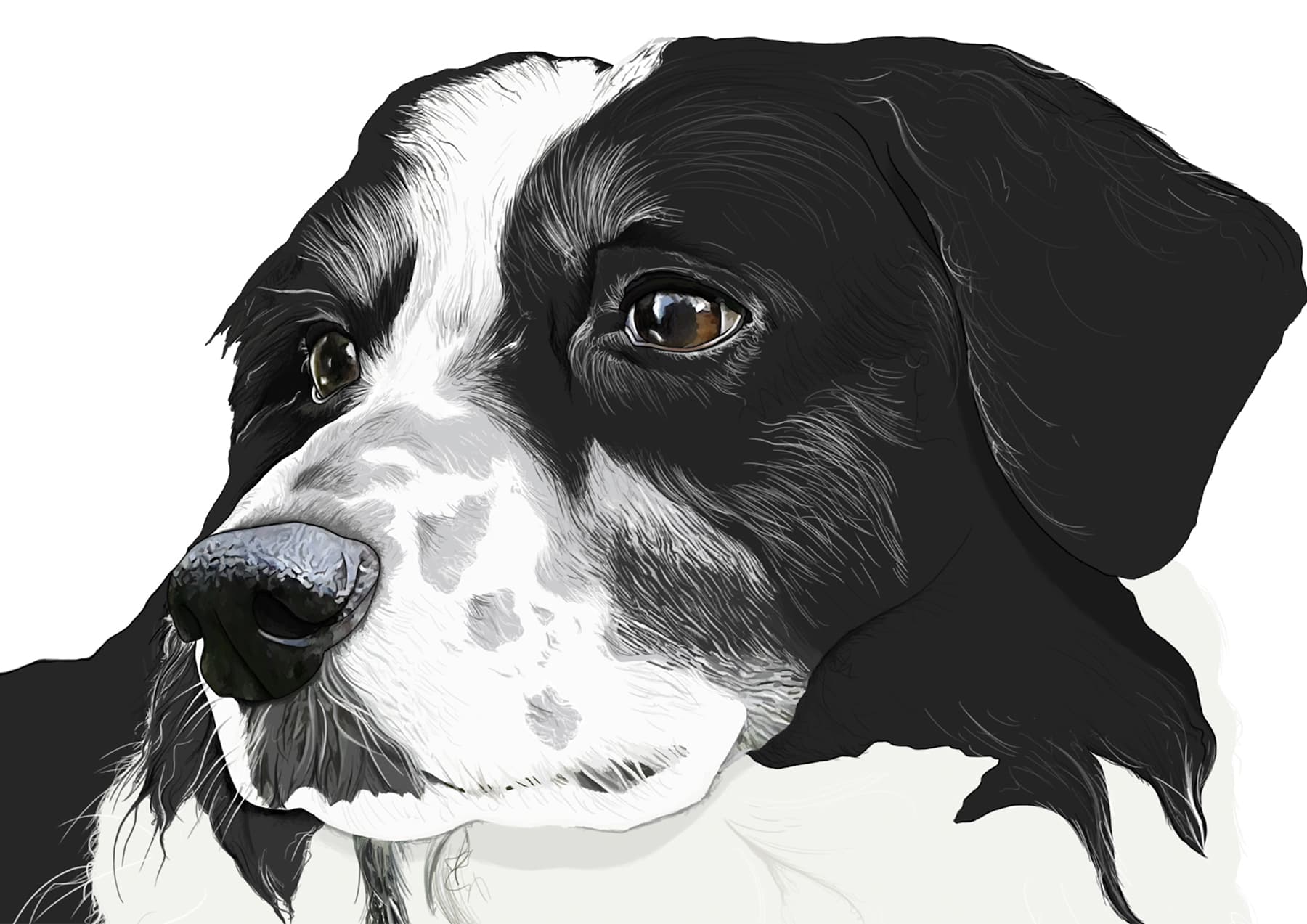 Freckles Blue abby Wright5