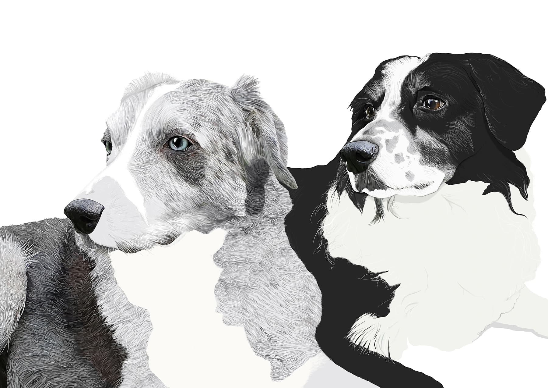 Freckles Blue abby Wright6